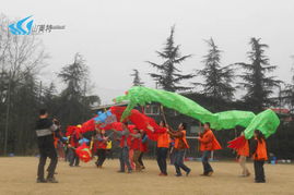 山美特 專業(yè)體驗式拓展訓(xùn)練，賦能團隊凝聚力與協(xié)作力