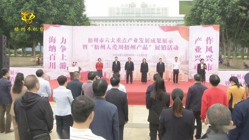 梧州六大重點產業成果閃耀，本土品牌展銷與文化交流共繪發展新篇